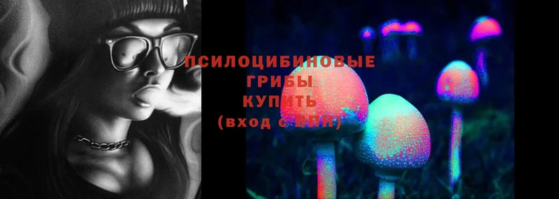 Псилоцибиновые грибы Psilocybine cubensis  Маркс 